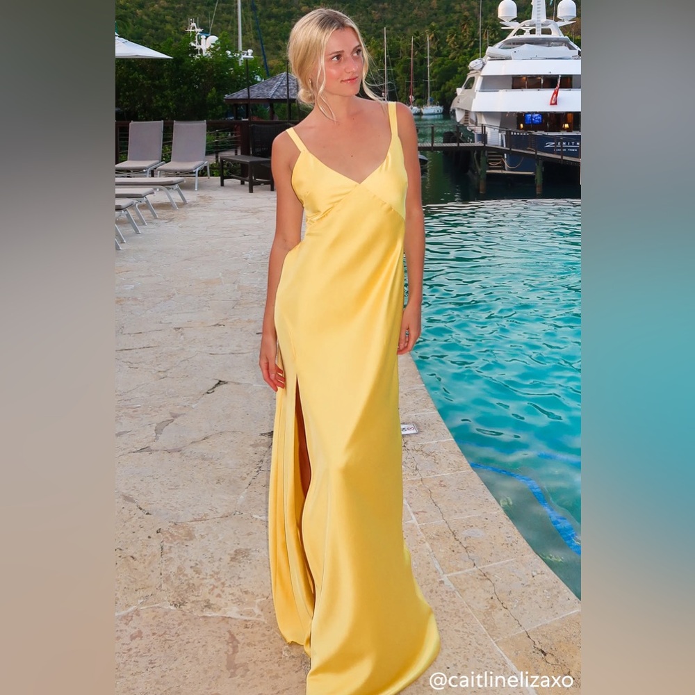 BNWT show me your mumu Anderson Maxi dress - Picture 2 of 5